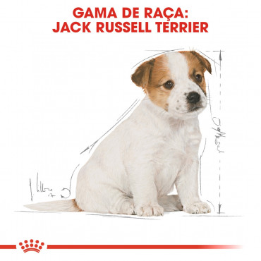 Royal Canin - Jack Russell Terrier Puppy | Goldpet