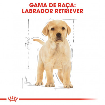 Royal Canin - Labrador Retriever Puppy | Goldpet