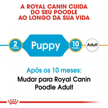 Royal Canin - Poodle Puppy - Ração de Cão | Goldpet