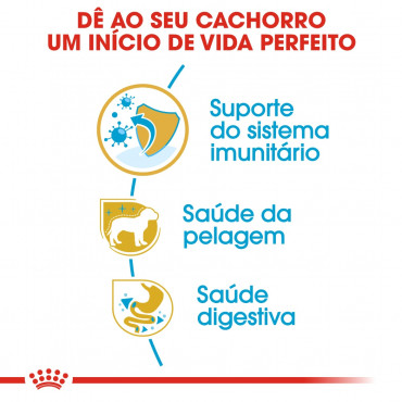 Royal Canin - Poodle Puppy - Ração de Cão | Goldpet