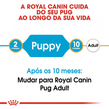 Royal Canin - Pug Puppy - Ração Seca Cão | Goldpet