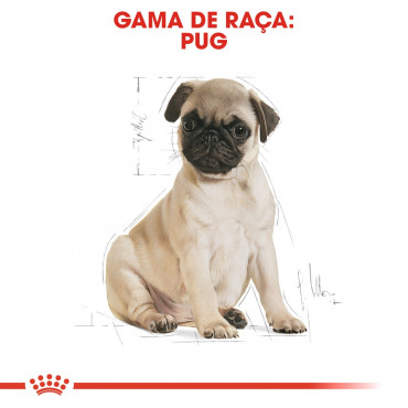 Royal Canin - Pug Puppy - Ração Seca Cão | Goldpet