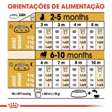 Royal Canin - Pug Puppy - Ração Seca Cão | Goldpet