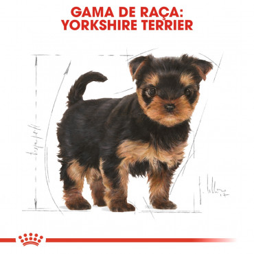 Royal Canin - Yorkshire Terrier Puppy - Ração de Cão | Goldpet