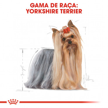 Royal Canin - Yorkshire Terrier Wet