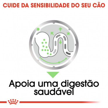 Royal Canin CCN Húmida Digestive Care Cão