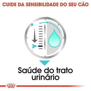 Royal Canin CCN Húmida Urinary Care Cão