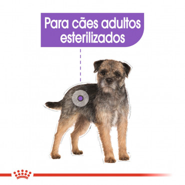 Royal Canin CCN Húmida Sterilised Cão