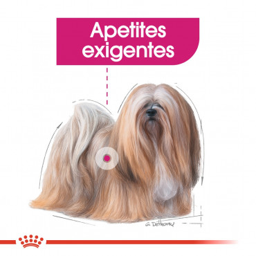 Royal Canin CCN Húmida Exigent Cão