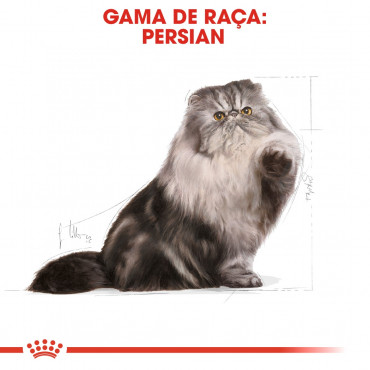 Ração para gato Royal Canin Persian