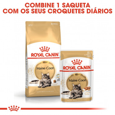 Ração para gato Royal Canin Maine Coon