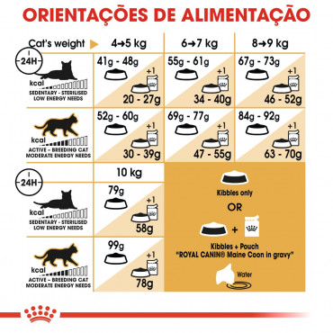 Ração para gato Royal Canin Maine Coon