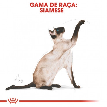 Ração para gato Royal Canin Siamese