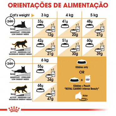 Ração para gato Royal Canin Siamese