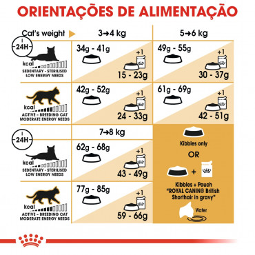 Ração para gato Royal Canin British Shorthair 2Kg