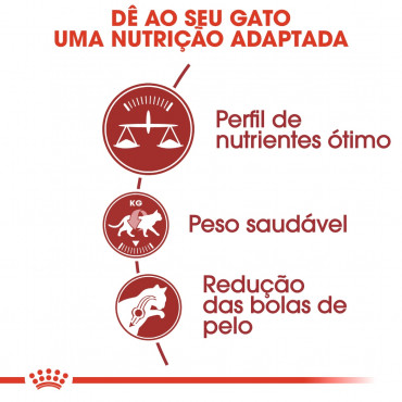 Ração para gato Royal Canin Regular Fit 32