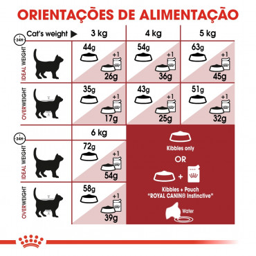 Ração para gato Royal Canin Regular Fit 32