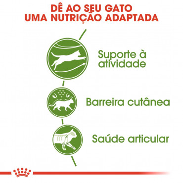 Ração para gato Royal Canin Outdoor 2Kg