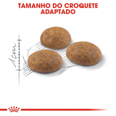 Ração para gato Royal Canin Outdoor 2Kg