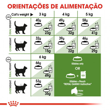 Ração para gato Royal Canin Outdoor 2Kg