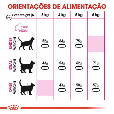 Ração para gato Royal Canin Protein Exigent