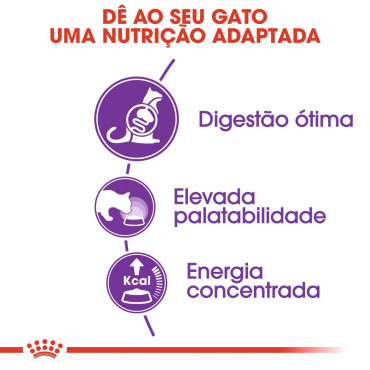 Ração para gato Royal Canin Sensible