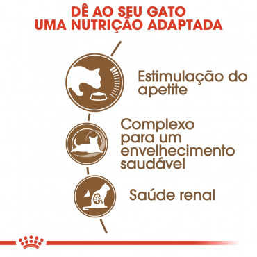 Ração para gato Royal Canin Ageing 12+