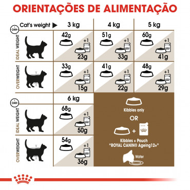 Ração para gato Royal Canin Ageing 12+