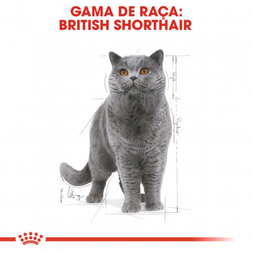 Ração para gato Royal Canin Wet British Shorthair