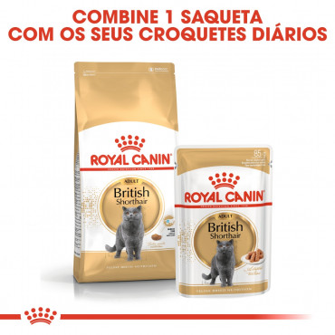 Ração para gato Royal Canin Wet British Shorthair