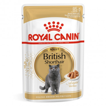 Ração para gato Royal Canin Wet British Shorthair