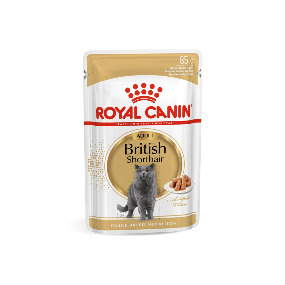 Ração para gato Royal Canin Wet British Shorthair