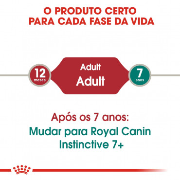 Ração para gato Royal Canin Wet Instinctive Loaf