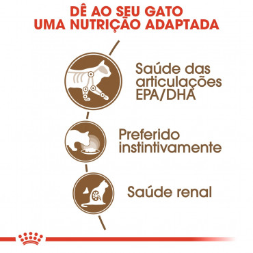 Ração para gato Royal Canin Wet Ageing 12+ Gravy