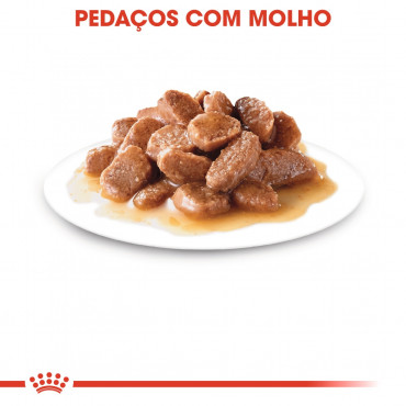 Ração para gato Royal Canin Wet Ageing 12+ Gravy