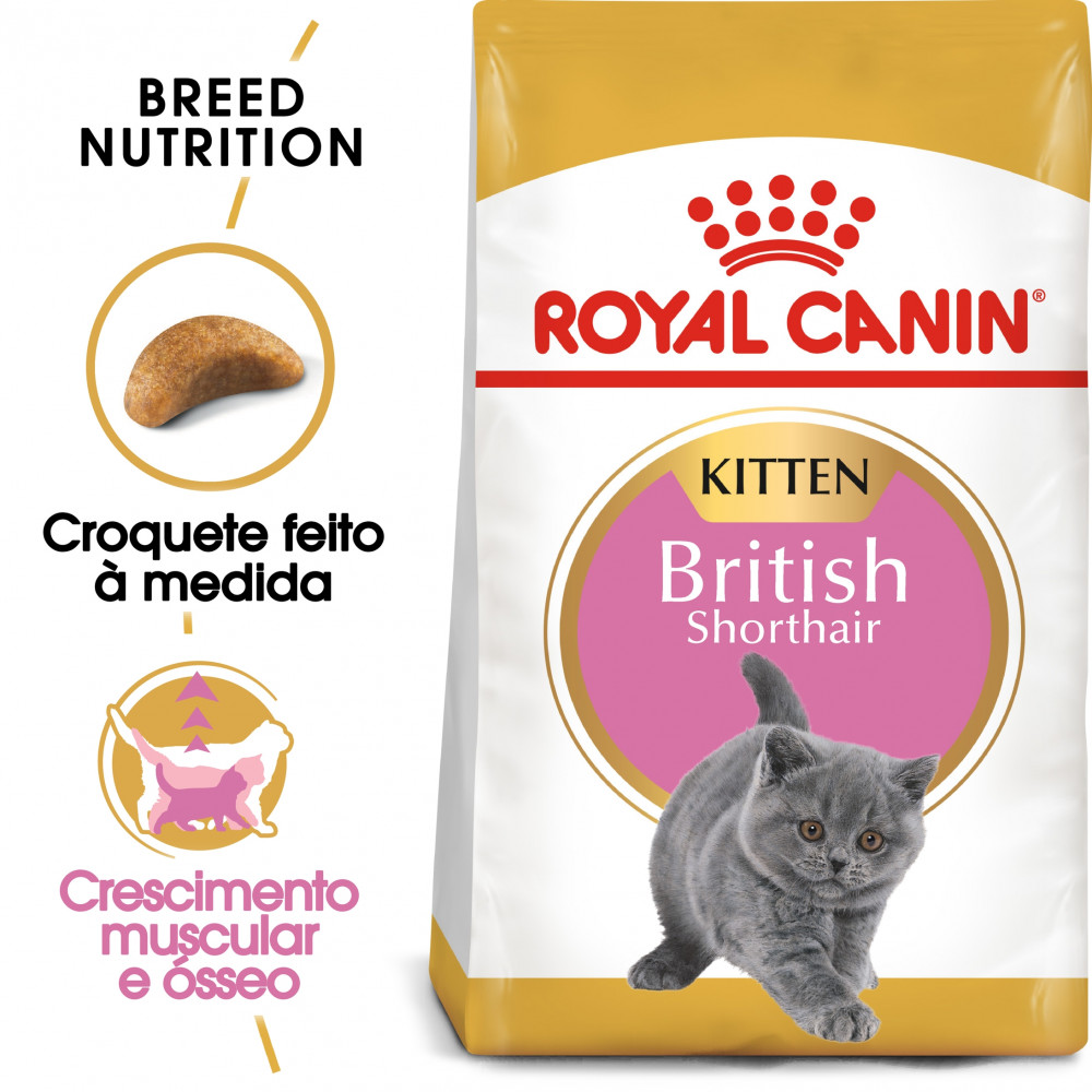 Ração para gato Royal Canin Kitten British Shorthair 2Kg