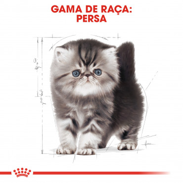 Ração para gato Royal Canin Kitten Persian