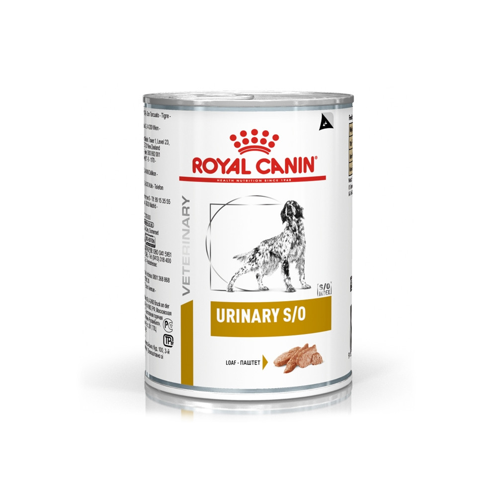 Royal Canin Urinary S/O Cão - Em patê