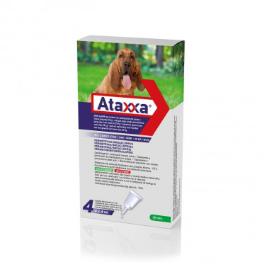 Ataxxa 25-40 kg