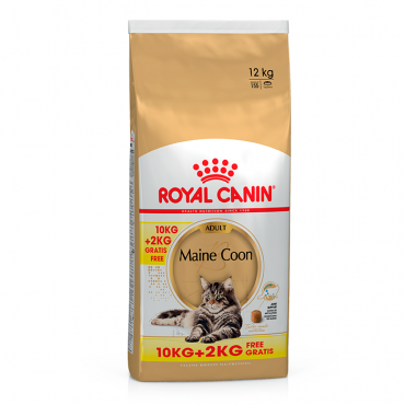 Ração para gato Royal Canin Maine Coon