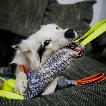 Julius-K9 Churro para cão