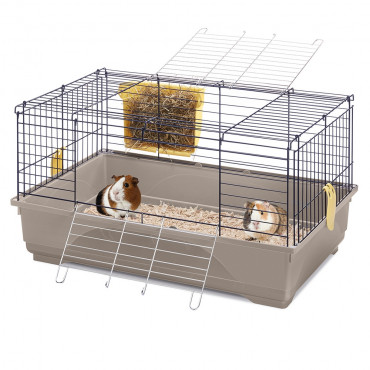 Gaiola Cavia Easy