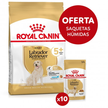 Royal Canin Labrador Retriever 5+ Cão Adulto