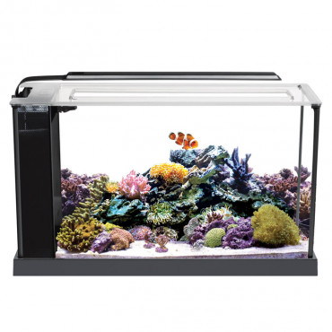 FLUVAL Aquário EVO