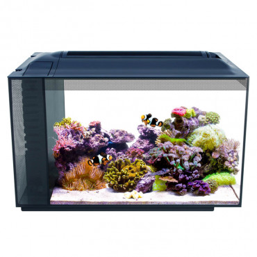 FLUVAL Aquário EVO