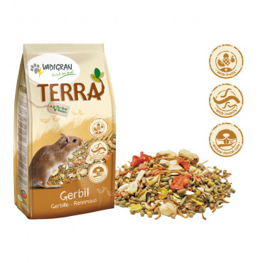 Alimento Premium Terra para...