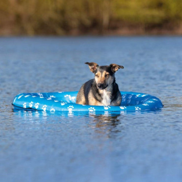 Bote Insuflável p/ Cães