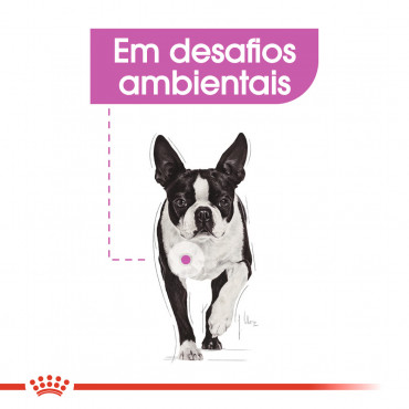 Royal Canin Relax Care Mini Cão adulto