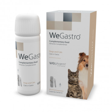 WeGastro