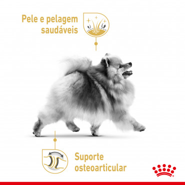 Royal Canin Pomerian Cão adulto